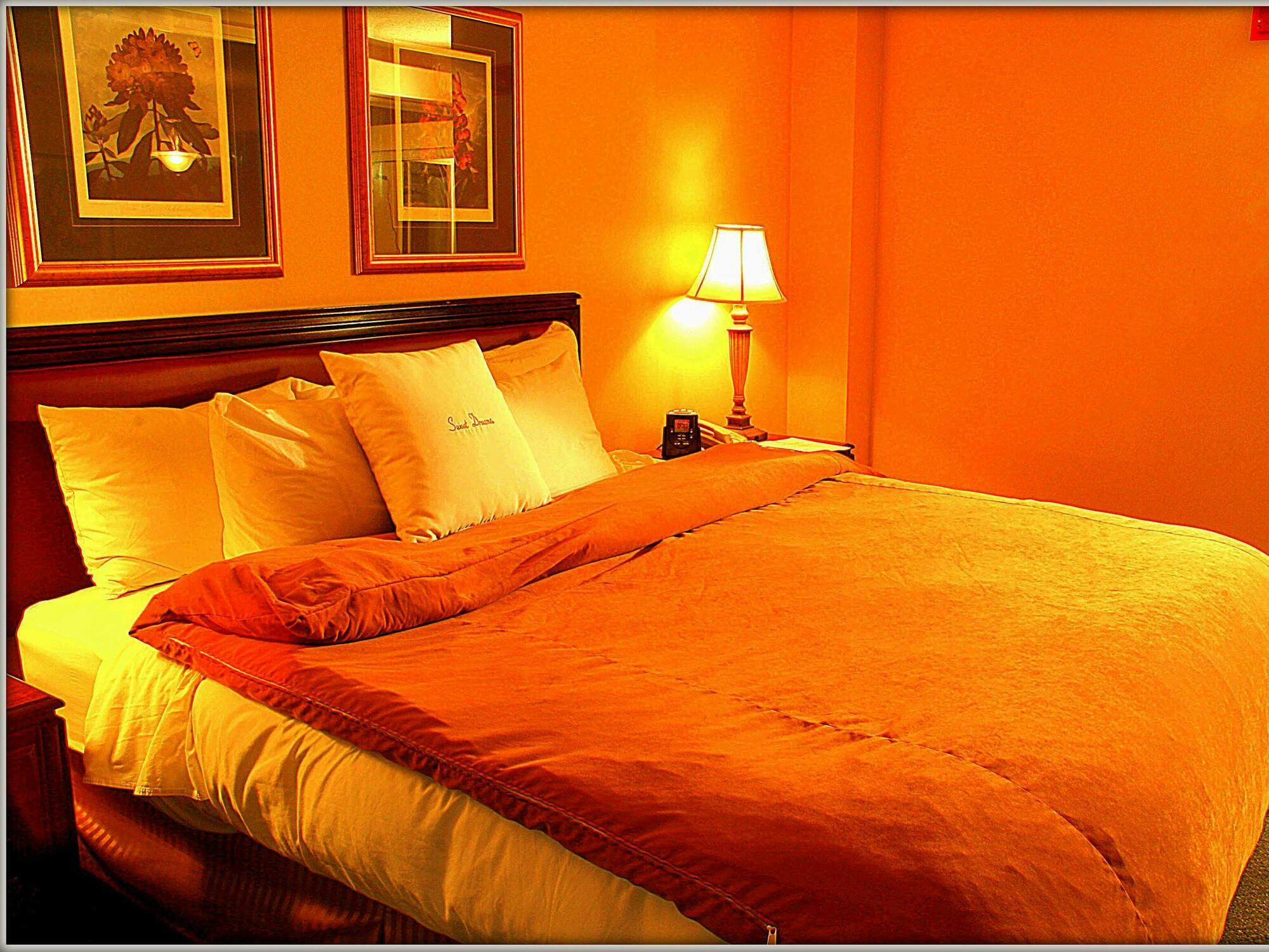 Ocean Breeze Apartment Kolombo Dış mekan fotoğraf
